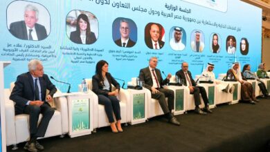 وزير البترول: مصر تستهدف زيادة استثمارات القطاع الخاص الخليجي في الطاقة والتعدين 2 وزير البترول: مصر تستهدف زيادة استثمارات القطاع الخاص الخليجي في الطاقة والتعدين