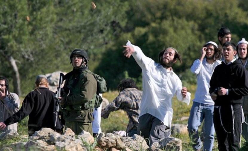 10 إصابات في اعتداء مستوطنين على خلايل اللوز شرق بيت لحم 1 10 إصابات في اعتداء مستوطنين على خلايل اللوز شرق بيت لحم