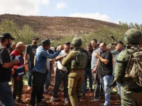 هيئة مقاومة الاستيطان توثق 259 اعتداءً على الفلسطينيين خلال موسم قطف الزيتون