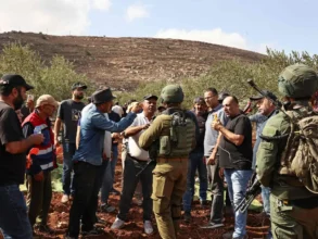 هيئة مقاومة الاستيطان توثق 259 اعتداءً على الفلسطينيين خلال موسم قطف الزيتون 3 هيئة مقاومة الاستيطان توثق 259 اعتداءً على الفلسطينيين خلال موسم قطف الزيتون