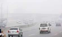 طقس معتدل نهاراً وبارد ليلاً.. شبورة مائية على الطرق القاهرة الكبرى ووسط سيناء