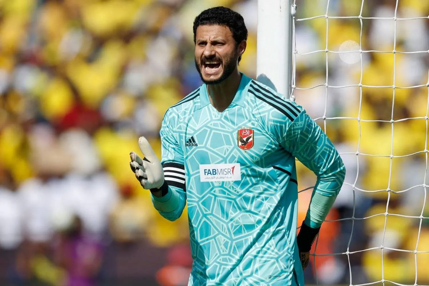 أحمد شوبير يكشف عن موعد عودة محمد الشناوي لتدريبات الأهلي استعدادًا لكأس مصر