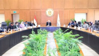 إنشاء صندوق مخاطر بقيمة 500 مليون جنيه لدعم الشركات الناشئة والتكنولوجية