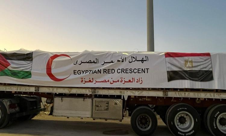 الهلال الأحمر المصري يطلق قافلة «زاد العزة .. من مصر إلى غزة» الـ91 بـ10 آلاف طن مساعدات إنسانية وإغاثية لأهالي القطاع 1 الهلال الأحمر المصري يطلق قافلة «زاد العزة .. من مصر إلى غزة» الـ91 بـ10 آلاف طن مساعدات إنسانية وإغاثية لأهالي القطاع