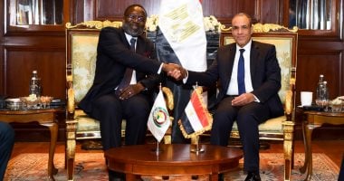 وزير الخارجية يبحث تعزيز التعاون بين مصر والإيكواس ودعم الأمن والاستثمار بغرب أفريقيا