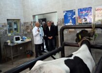 مدبولي يتفقد الوحدة البيطرية بقرية نوى ضمن مشروعات «حياة كريمة» بالقليوبية