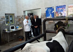 مدبولي يتفقد الوحدة البيطرية بقرية نوى ضمن مشروعات «حياة كريمة» بالقليوبية 2 مدبولي يتفقد الوحدة البيطرية بقرية نوى ضمن مشروعات «حياة كريمة» بالقليوبية