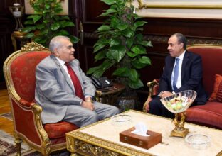 وزير الخارجية يلتقي رئيس مجلس الشيوخ لتعزيز التعاون الدبلوماسي والبرلماني