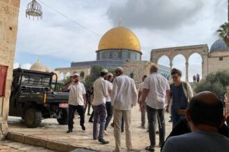 251 مستوطناً يقتحمون "الأقصى" في رابع أيام عيد الأنوار اليهودي.