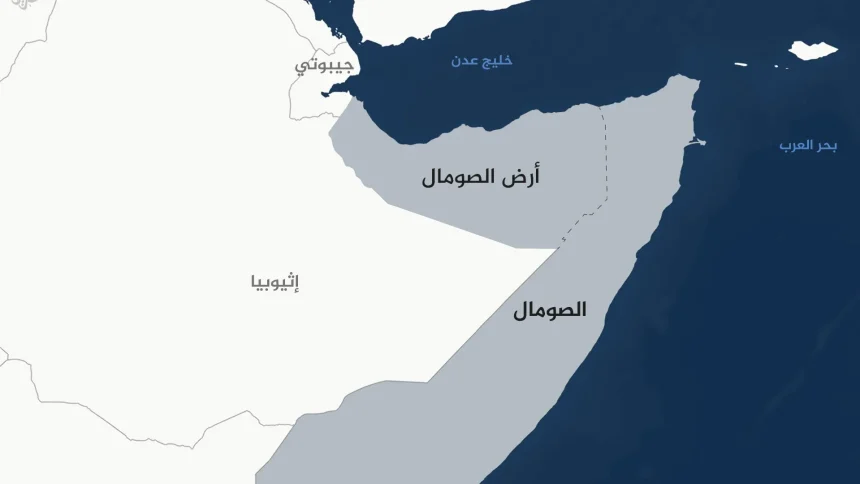الصومال يؤكد رفضه القاطع لأي مخططات تهجير فلسطيني ويطالب الدول العربية بالوقوف معه ضد الاعتداءات الإسرائيلية