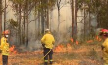 تحذيرات من تفاقم حرائق الغابات في نيو ساوث ويلز الأسترالية