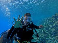 الإرادة تكسر أمواج التحدي.. "محمد كرم" يكتب التاريخ كأول غواص مصري من أصحاب متلازمة داون يقود حملة لحماية الشعاب المرجانية في الغردقة