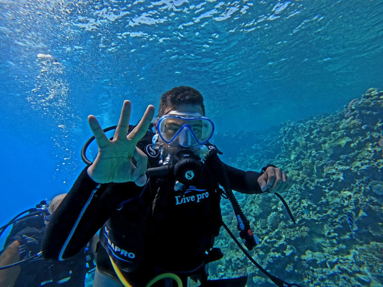 الإرادة تكسر أمواج التحدي.. "محمد كرم" يكتب التاريخ كأول غواص مصري من أصحاب متلازمة داون يقود حملة لحماية الشعاب المرجانية في الغردقة 1 الإرادة تكسر أمواج التحدي.. "محمد كرم" يكتب التاريخ كأول غواص مصري من أصحاب متلازمة داون يقود حملة لحماية الشعاب المرجانية في الغردقة