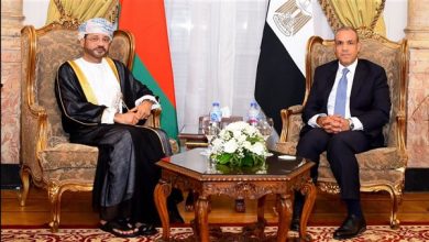 وزيرا خارجية مصر وسلطنة عُمان يناقشان تطورات غزة والتنسيق الإقليمي