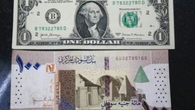 استقرار سعر الدولار أمام الجنيه السوداني في بنك السودان المركزي اليوم