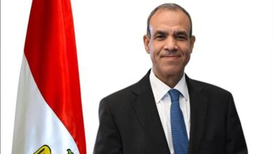 الخارجية تعلن بدء تنفيذ مبادرة مدرستك في مصر للمصريين بالخارج