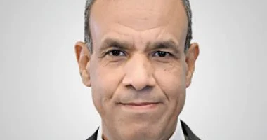 مصر تعرب عن قلقها من التصعيد في اليمن وتؤكد دعمها للحل السياسي الشامل 5 مصر تعرب عن قلقها من التصعيد في اليمن وتؤكد دعمها للحل السياسي الشامل