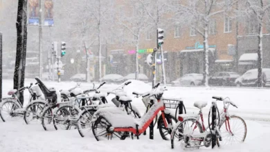 برد قطبي يضرب بولندا: 13 وفاة وآلاف حالات الطوارئ وسط نقص في الملاجئ 2 برد قطبي يضرب بولندا: 13 وفاة وآلاف حالات الطوارئ وسط نقص في الملاجئ