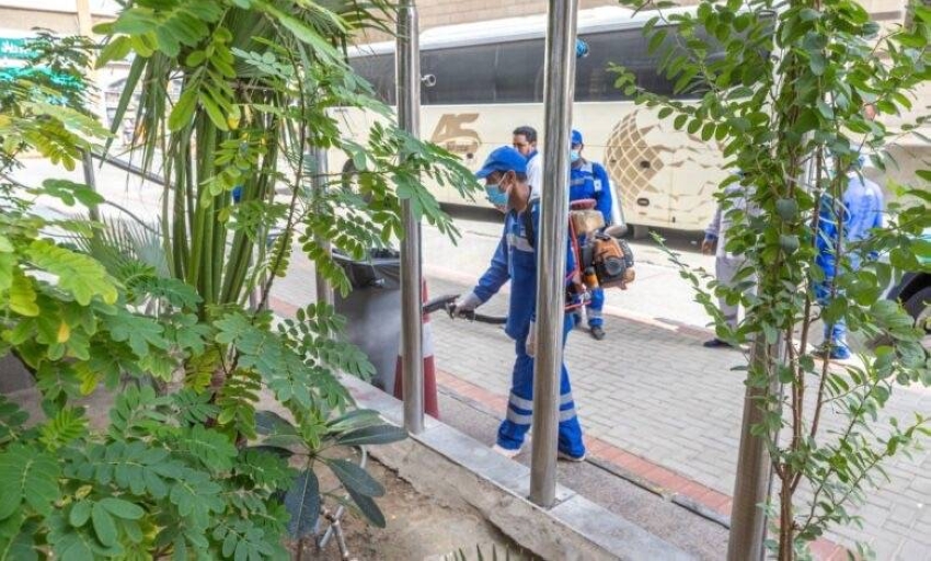 46 ألف عملية مكافحة ميدانية في مكة: جهود حثيثة للقضاء على نواقل الأمراض وتحسين البيئة 1 46 ألف عملية مكافحة ميدانية في مكة: جهود حثيثة للقضاء على نواقل الأمراض وتحسين البيئة