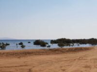 مصر تطلق منظومة متكاملة لإدارة المخلفات في المحميات الطبيعية لحماية البيئة وتعزيز الاستدامة