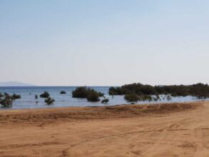 مصر تطلق منظومة متكاملة لإدارة المخلفات في المحميات الطبيعية لحماية البيئة وتعزيز الاستدامة