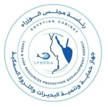 جهاز حماية وتنمية البحيرات والثروة السمكية ينفي شائعة مصادرة السنارات وفرض غرامات على صيد الهواة 2 جهاز حماية وتنمية البحيرات والثروة السمكية ينفي شائعة مصادرة السنارات وفرض غرامات على صيد الهواة