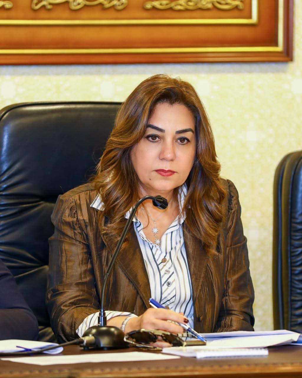 د. منال عوض تعلن التشغيل التجريبي لمجزر الخارجة بالوادي الجديد بتكلفة 21.8 مليون جنيه