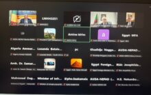 وزير الخارجية يؤكد الدور المصري في دعم مشروعات الربط الإقليمي والتنمية القارية بأفريقيا