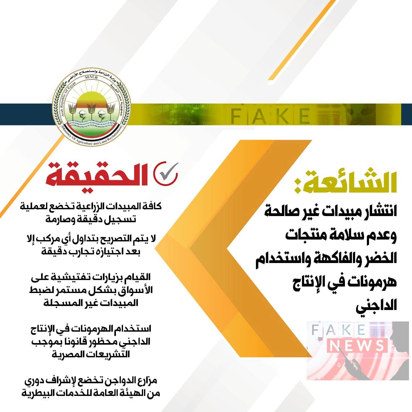 "الزراعة" تكشف حقيقة انتشار مبيدات غير صالحة وتؤكد سلامة الخضر والفواكه والدواجن