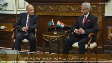 أبو الغيط يبحث مع وزير الخارجية الهندي تعزيز العلاقات العربية-الهندية