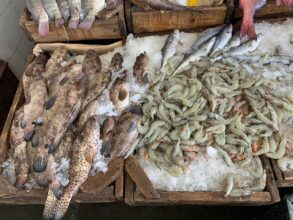 أسعار الأسماك والجمبري اليوم الجمعة 16 يناير 2026 بسوق العبور