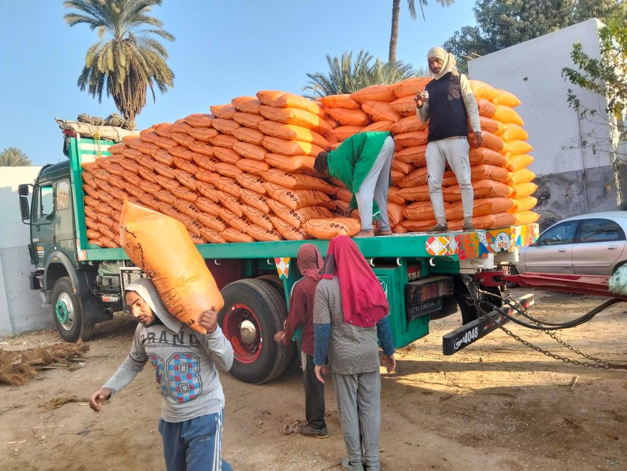 وزارة الزراعة تكثف المرور المفاجئ على الجمعيات الزراعية لضمان وصول الأسمدة للفلاحين