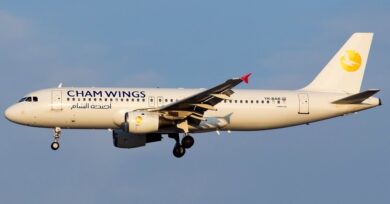 الطيران المدني السوري يطلق منصة إلكترونية لاستقبال شكاوى المسافرين