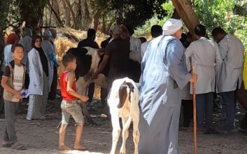الزراعة تطلق حملة استثنائية لتحصين الثروة الحيوانية ضد الحمى القلاعية والوادي المتصدع 2 الزراعة تطلق حملة استثنائية لتحصين الثروة الحيوانية ضد الحمى القلاعية والوادي المتصدع