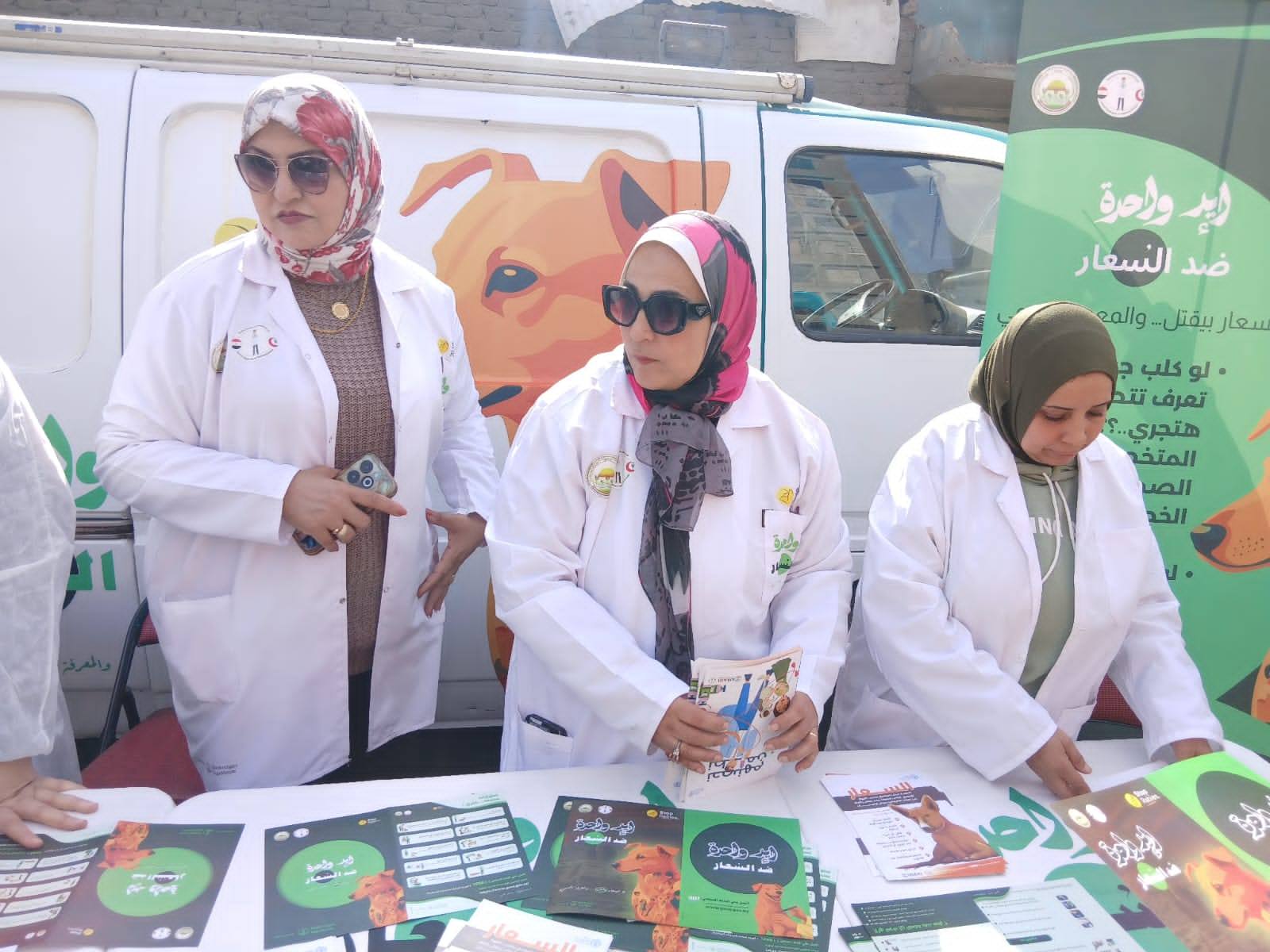 الزراعة تطلق حملة شاملة لتحصين كلاب الشوارع ومكافحة الأمراض الوبائية 1 الزراعة تطلق حملة شاملة لتحصين كلاب الشوارع ومكافحة الأمراض الوبائية