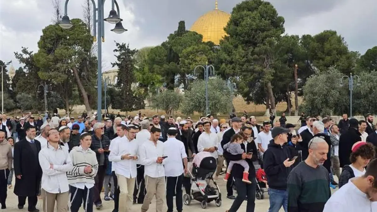 اقتحام 47 مستوطنًا للمسجد الأقصى تحت حماية شرطة الاحتلال وإقامة طقوس تلمودية في باحاته