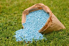 المركز الإعلامي لمجلس الوزراء ينفي نقص التقاوي والأسمدة المعتمدة لزراعة القمح بالمنافذ الرسمية