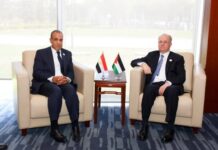 وزير الخارجية المصري يلتقي رئيس وزراء فلسطين على هامش القمة الأفريقية لمناقشة المرحلة الثانية من خطة ترامب