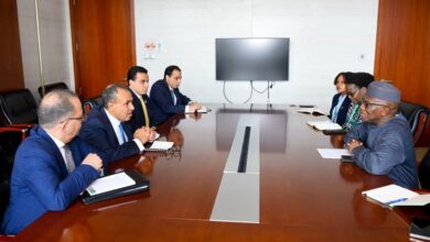 وزير الخارجية المصري التقى مفوض الاتحاد الأفريقي للشئون السياسية والسلم والأمن.