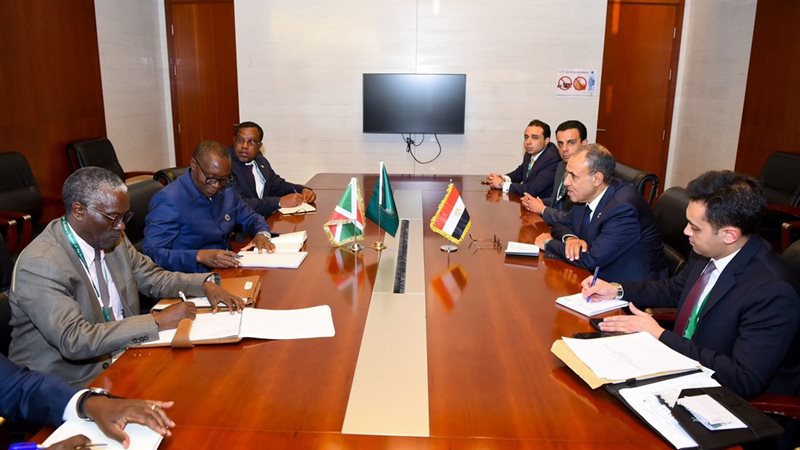 وزير الخارجية يبحث مع نظيره البوروندي تعزيز العلاقات الثنائية والتعاون في قضايا حوض النيل