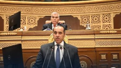 وزير شئون المجالس النيابية يشكر الرئيس السيسي على توجيه بوضع ضوابط لاستخدام الأطفال لتطبيقات التواصل الاجتماعي