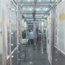 بدء التشغيل التجريبي لمجزر بلطيم المطور بكفر الشيخ بتكلفة 36.7 مليون جنيه