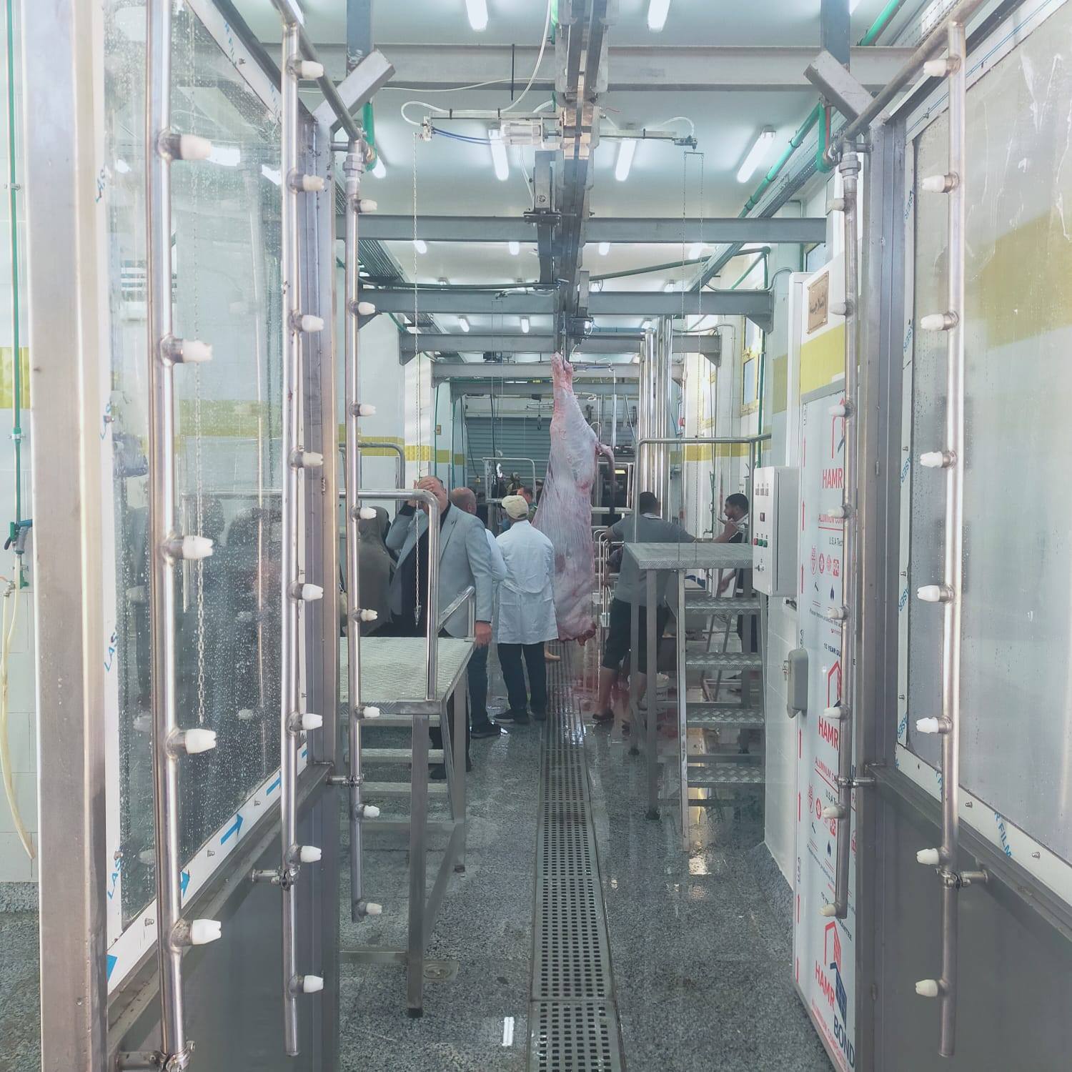 بدء التشغيل التجريبي لمجزر بلطيم المطور بكفر الشيخ بتكلفة 36.7 مليون جنيه