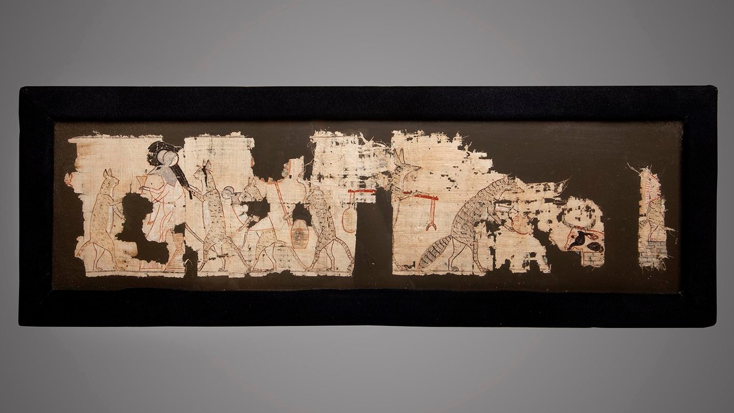 المتحف المصري بالتحرير يعرض «بردية السخرية».. أقدم كاريكاتير سياسي في تاريخ مصر القديمة