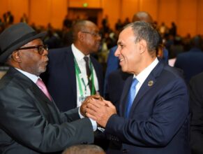 وزير الخارجية يعقد لقاءات مكثفة مع قادة ومسؤولين أفارقة وأمميين على هامش القمة الأفريقية