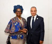 وزير الخارجية المصري يلتقي مفوضة الطاقة والبنية التحتية بالاتحاد الأفريقي لتعزيز التعاون القاري