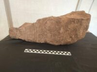 بعثة مصرية-صينية تكشف بقايا معبد للملك أبريس في ميت رهينة بالجيزة