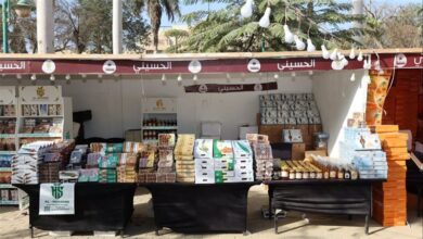 التمور المصرية من محصول تقليدي إلى السوق العالمي.. الدولة تدعم المصانع للتوسع في التصدير