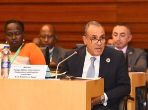 وزير الخارجية يؤكد دعم مصر لاسترداد التراث الأفريقي