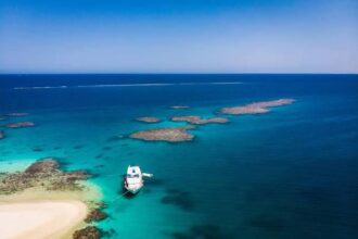 واحة حماطة بالبحر الأحمر.. تجمع محبي الرحلات البحرية والحياة البرية النادرة.. وشواطئ ساحرة في قلب محمية وادي الجمال